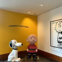 现实版史努比乐园🐾Santa Rosa的治愈周末