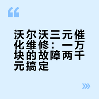 能修的不换总成，沃尔沃三元催化效率低尾气不合格，维修三元催化 博睿通达修车报告的微博视频