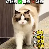 你家猫咪吃的什么肉源猫粮，看看适不适合咪#科学养宠攻略 #whycat猫粮 #养猫经验分享 #养宠进阶指南 #真实分享生活计划