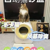 半个多月使用感受，总结攻略
#自动猫砂盆 #猫砂盆 #猫砂盆推荐 #新手养猫 #养猫用品推荐