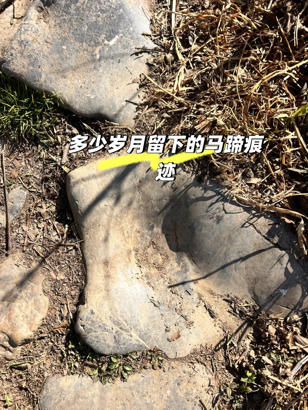 🌿昆明周边亲子徒步，沙朗古道闭环