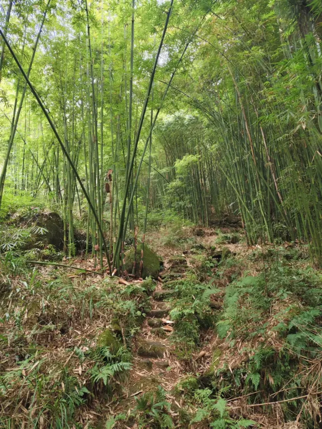 徒步第7⃣️1⃣️条路线:#彭州—莲花湖
