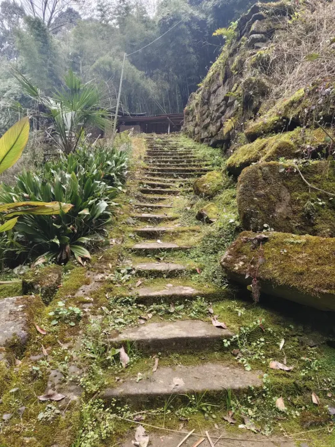 徒步第7⃣️1⃣️条路线:#彭州—莲花湖