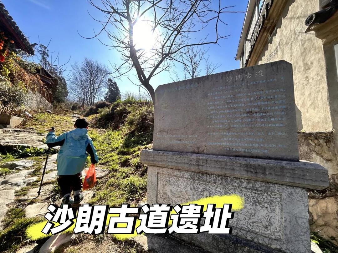 🌿昆明周边亲子徒步，沙朗古道闭环
