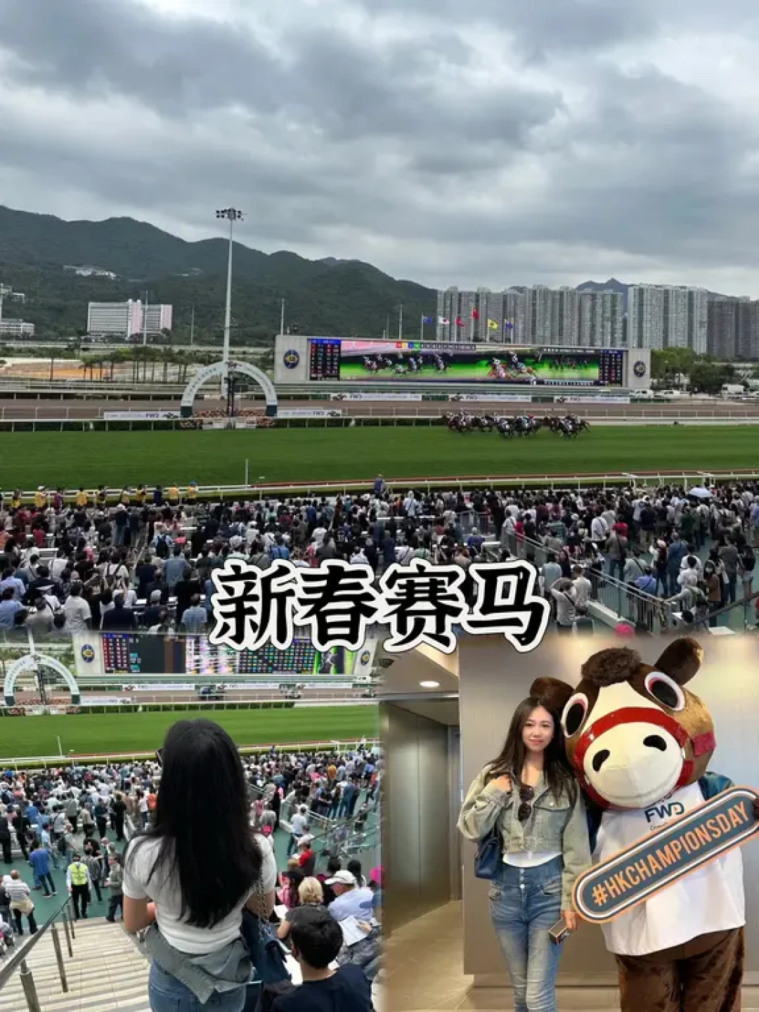2026春节旅行香港新春活动汇总(含时间表)
