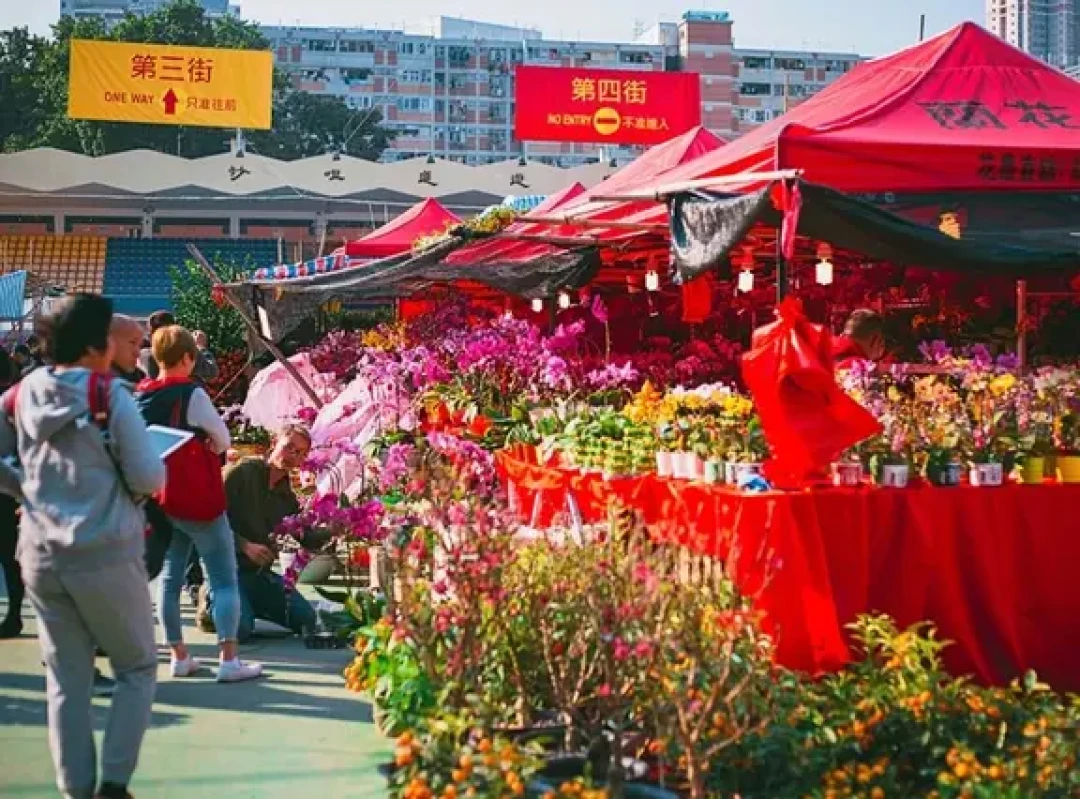 2026春节旅行香港新春活动汇总(含时间表)