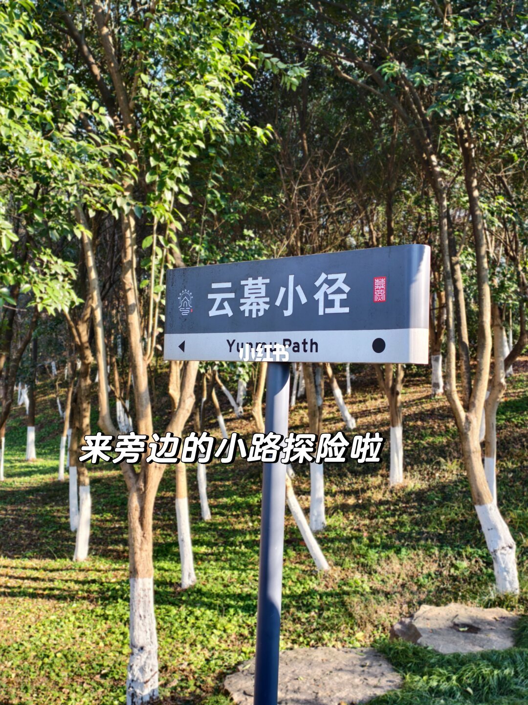 南京幕府山徒步，亲子友好的无痛爬山路线