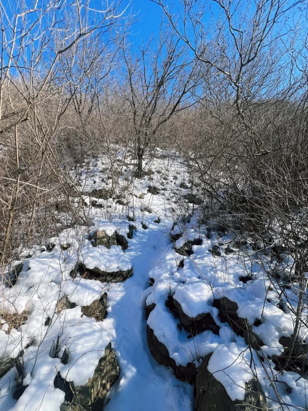 北京踏雪徒步!栖隐寺5km环线新手闭眼冲❄️