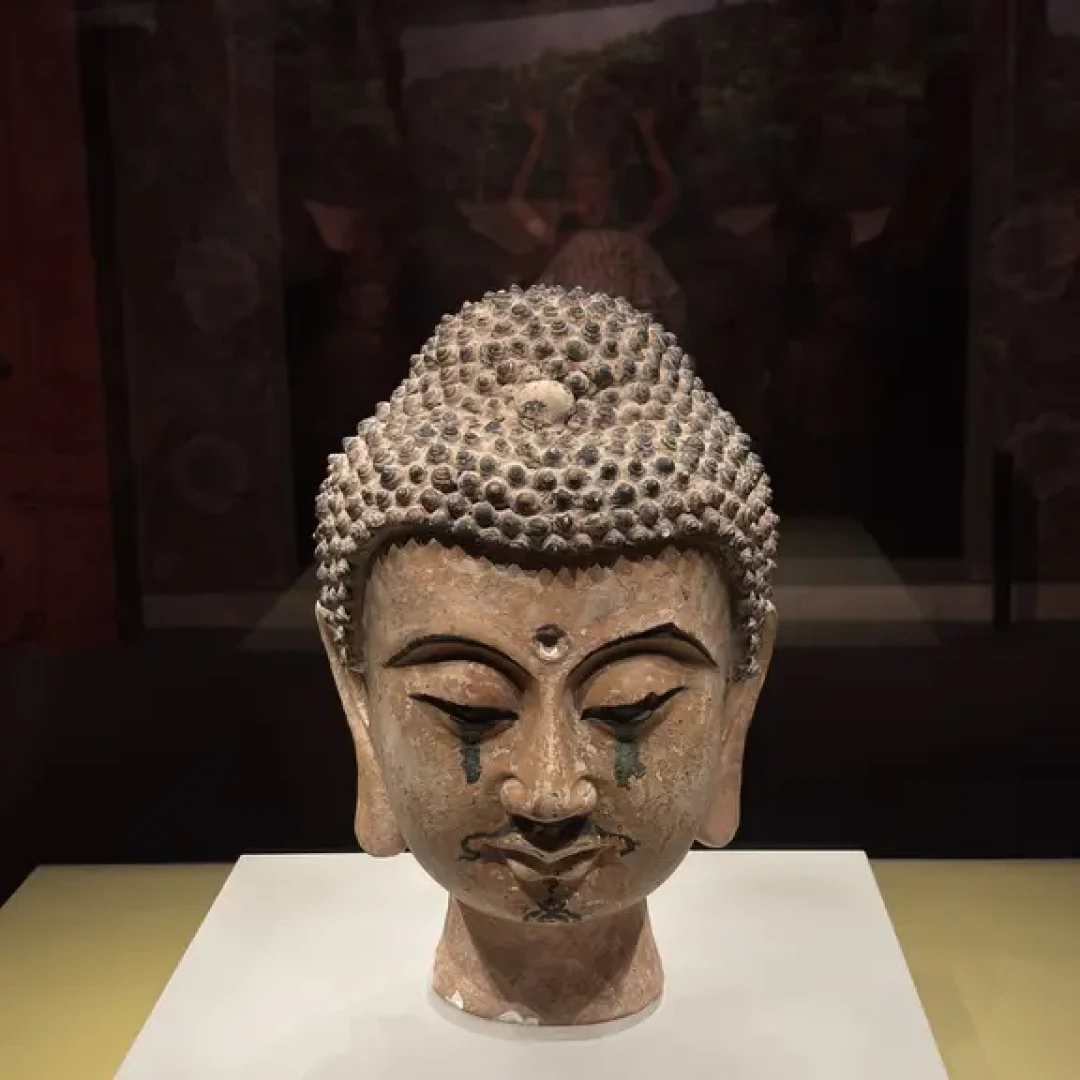 福建博物院此次的西夏特展相当精彩