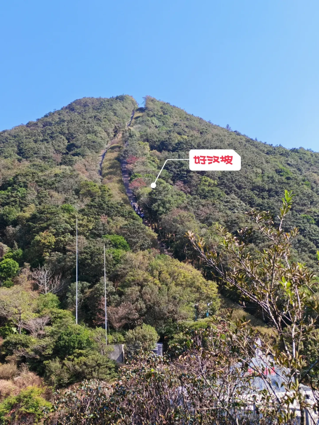 梧桐山|凌云道上秀桐道下废膝盖的一天