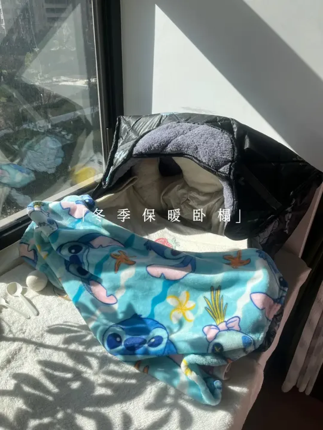 人猫共处 一室和谐