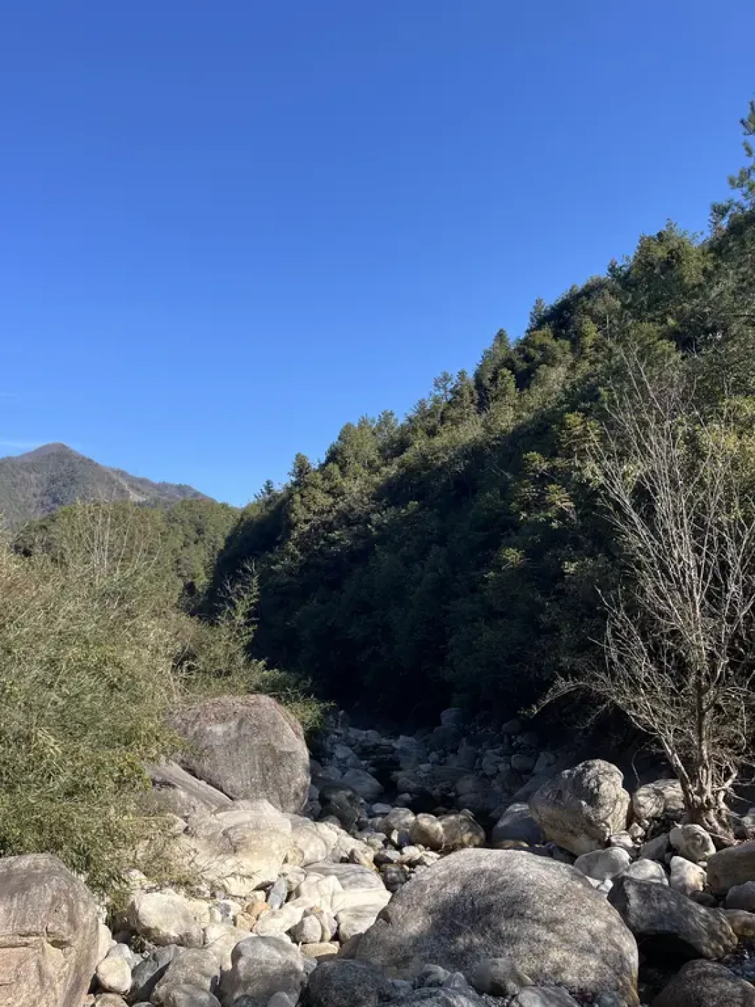 (44)大明山后山野攀小环线详解,冰瀑真震撼