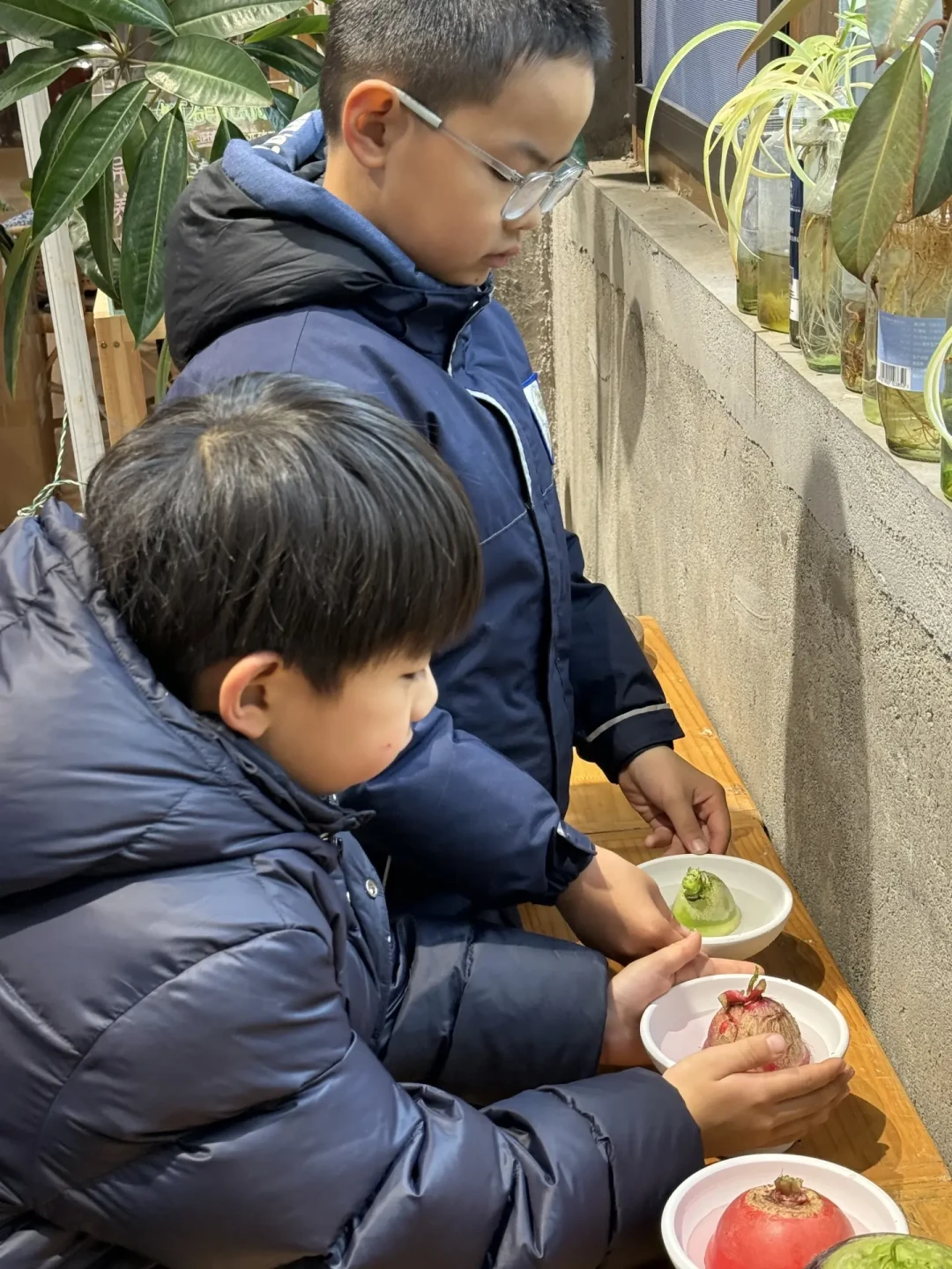 吃剩的萝卜头别扔!0成本get超美水培绿植🌿