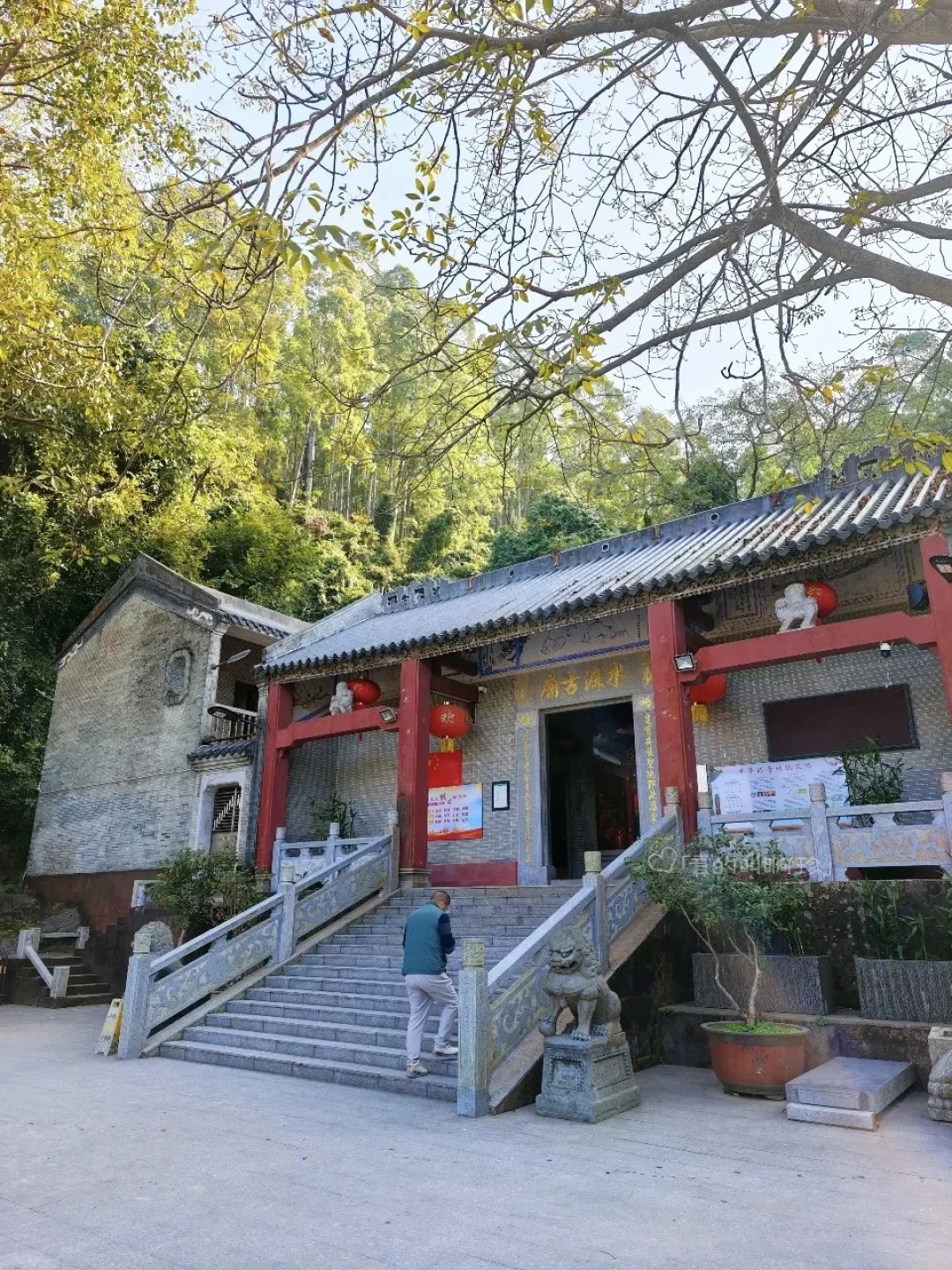 广州1h直达森林徒步环线,周末免费爬山放空