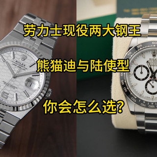 劳力士两大钢王熊猫迪与陆使型，你会怎么选？