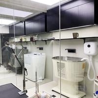 宠物美容师常用工具全解析：新型设备亮相、梳剪规范更新、安全操作成焦点