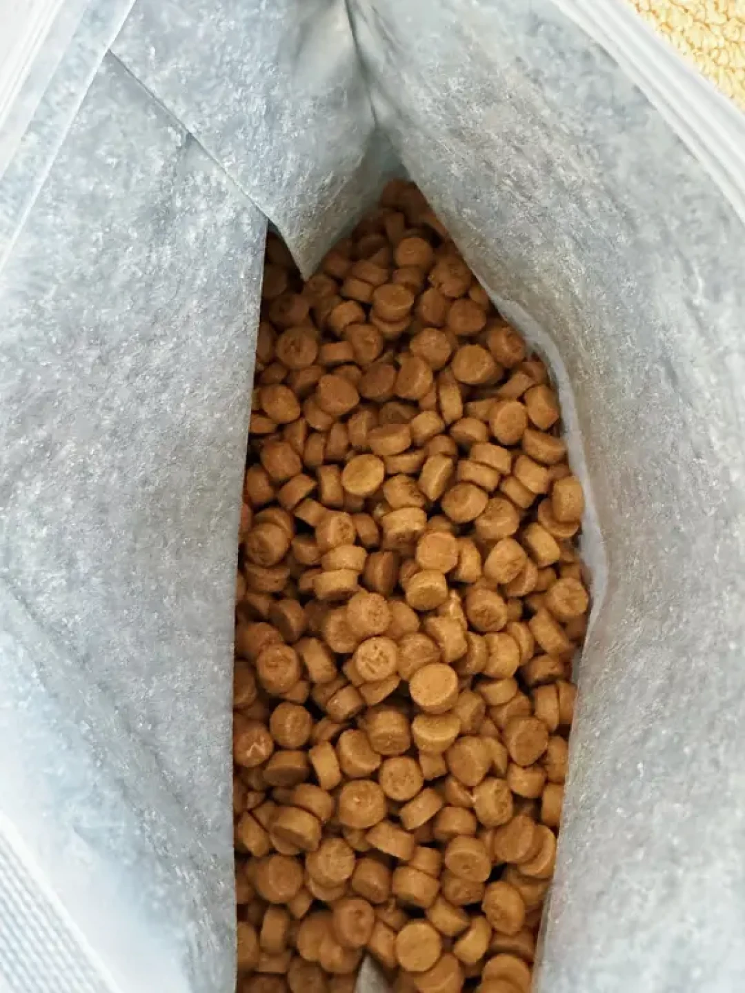 挑嘴猫终于被征服！这乳鸽猫粮香到主动炫饭
