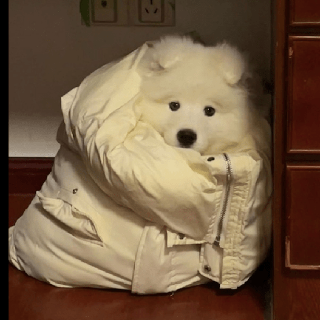 今天起,对待羽绒服请调整一下!