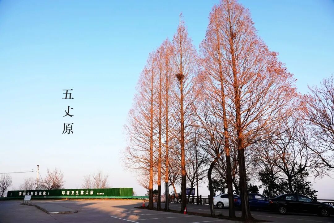 陕西行（游记5）--五丈原和法门寺