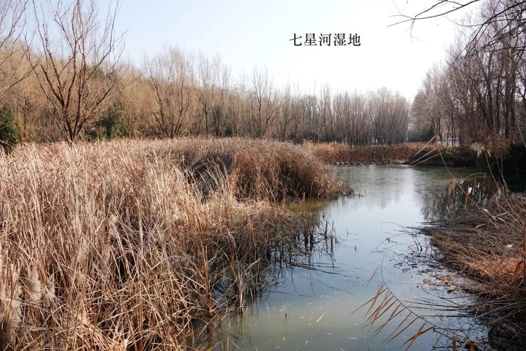 陕西行（游记5）--五丈原和法门寺