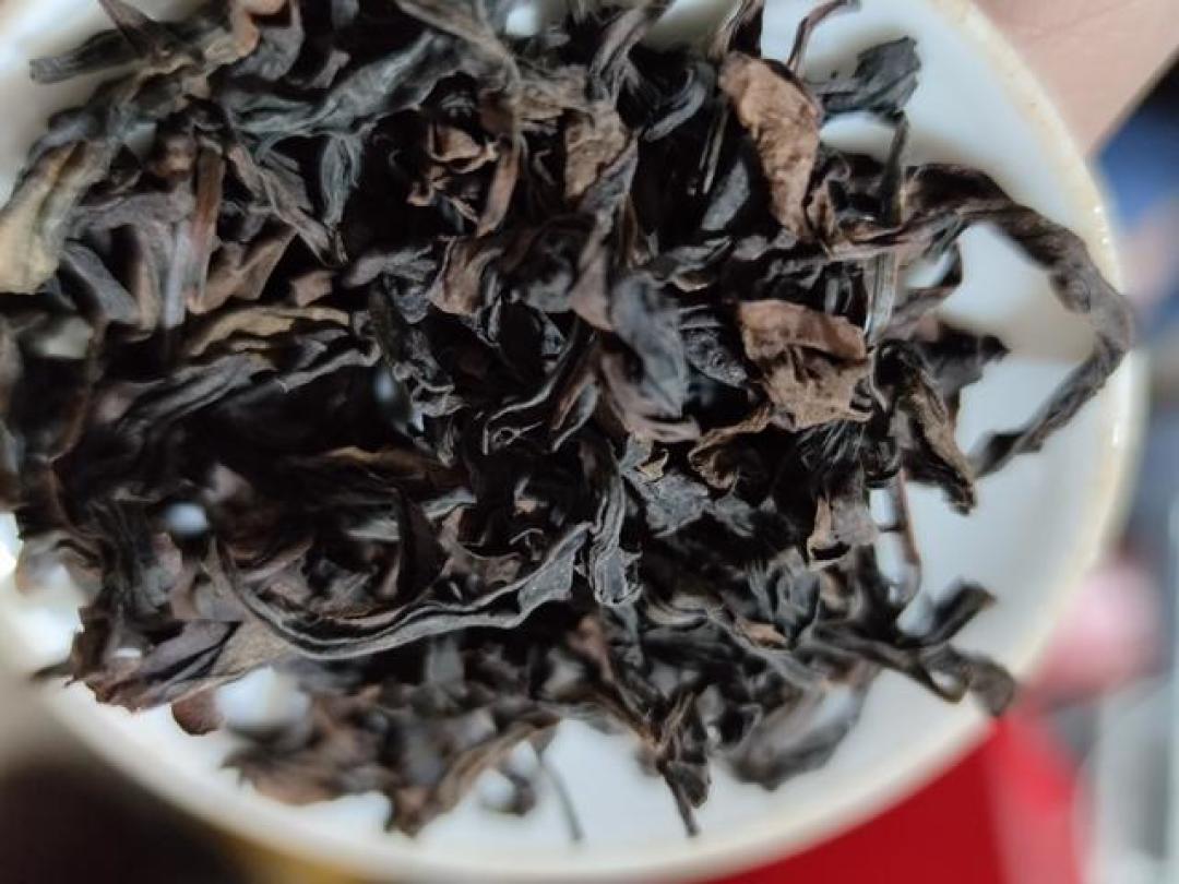 《岩茶秘境 七》收藏与陈化:与时间做朋友的智慧,唤醒沉睡的茶魂