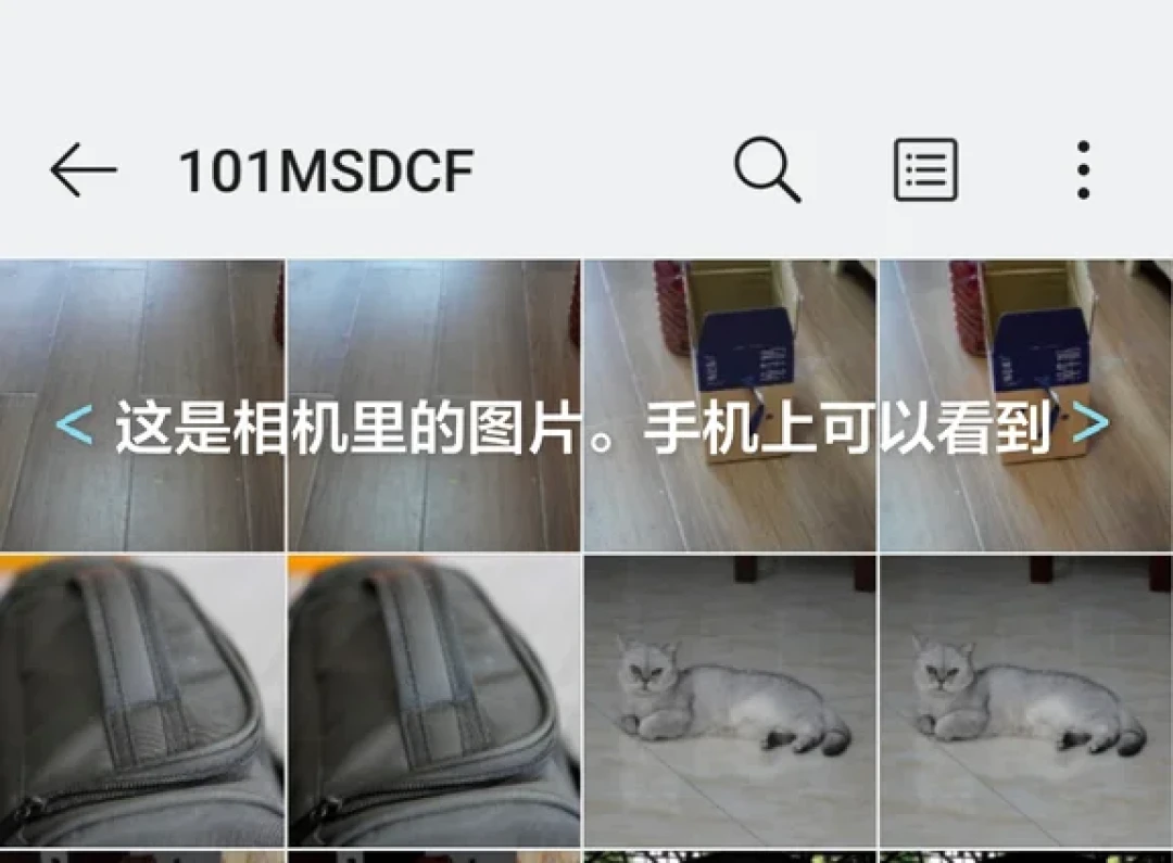 双C头线超快捷相机传手机！