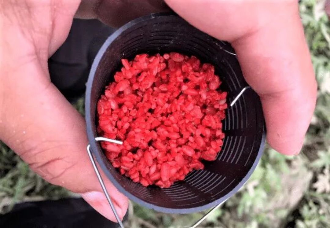 冬钓鲫鱼选择钓草洞，掌握这些技巧，上钩的都是大板鲫