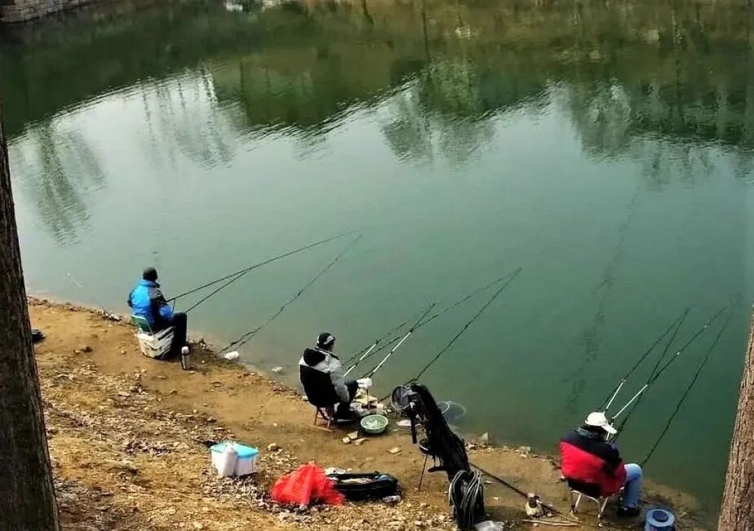 天冷钓鱼是钓深还是钓浅？这些干货分享，助你渔获满满