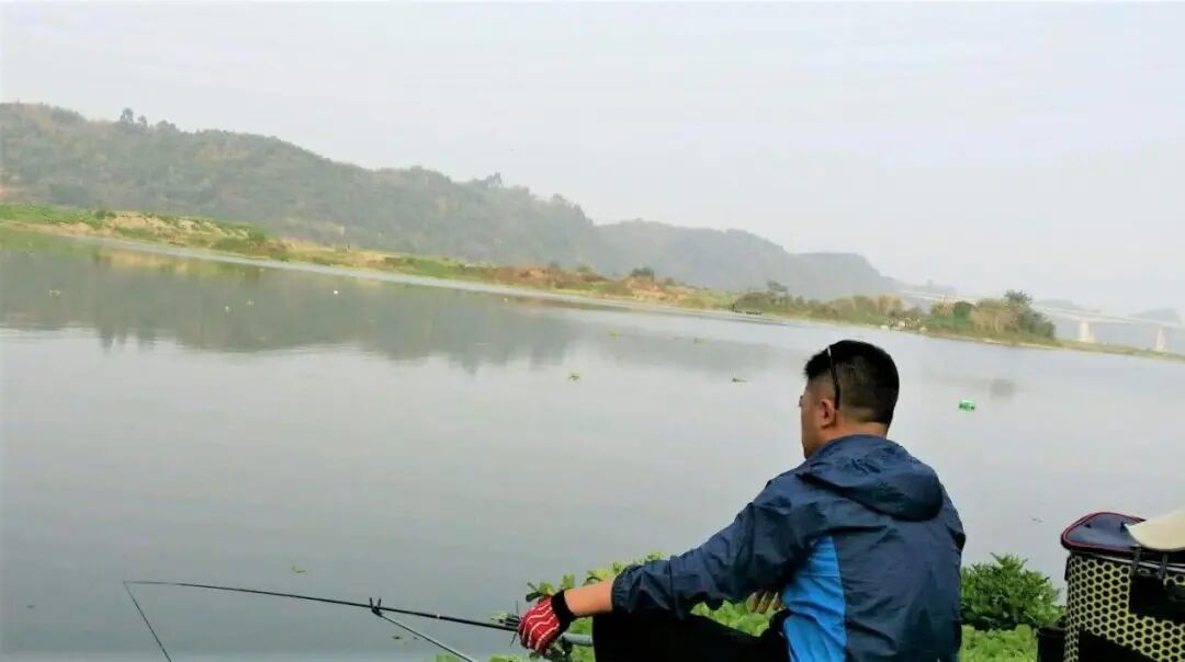 天冷钓鱼是钓深还是钓浅？这些干货分享，助你渔获满满