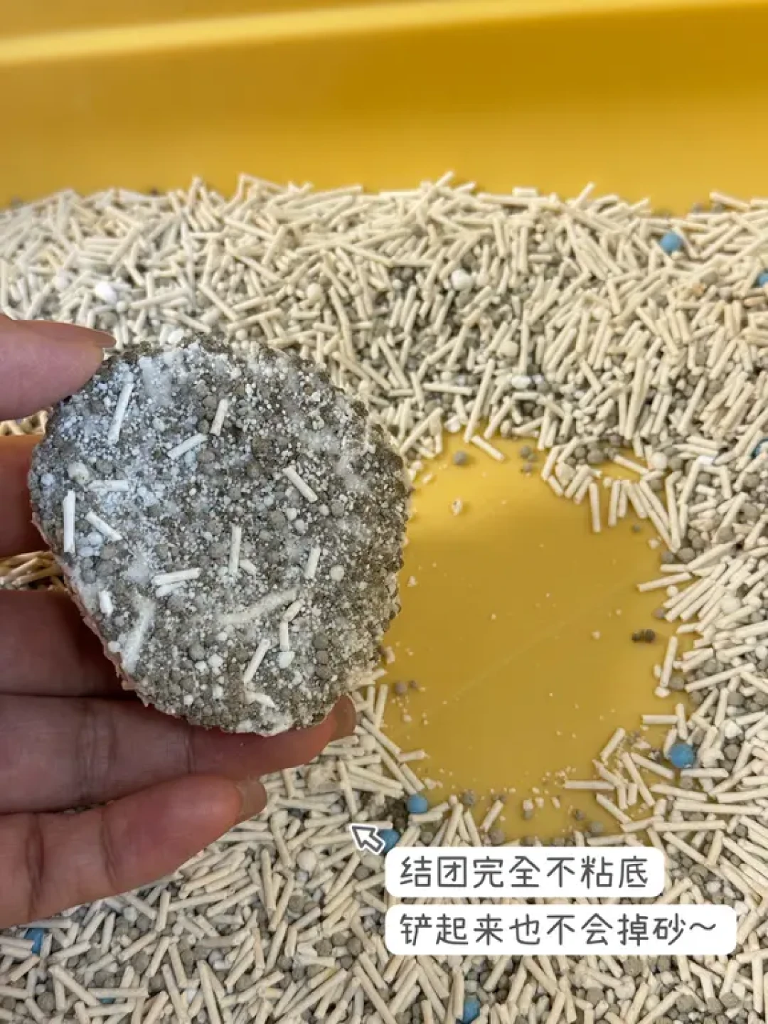 PETSHY用了一个月,说说真实感受🧐