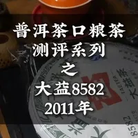 普洱茶口粮茶测评系列之2011年大益8582 #普洱茶 #口粮茶 #8582生茶 #普洱茶测评 #喝茶