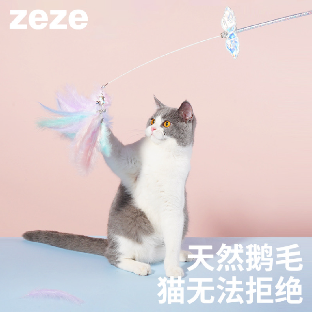 别再瞎挥逗猫棒了:这样陪玩,能减肥还能治猫半夜跑酷