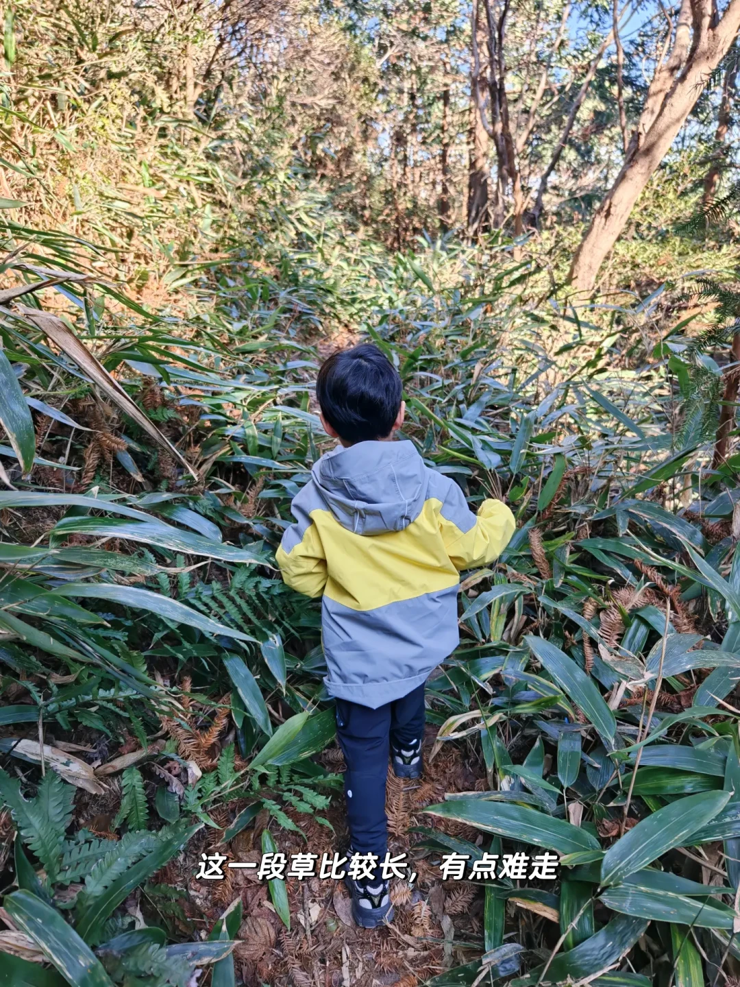 临海十大徒步路线之“水磨坑-茶寮”