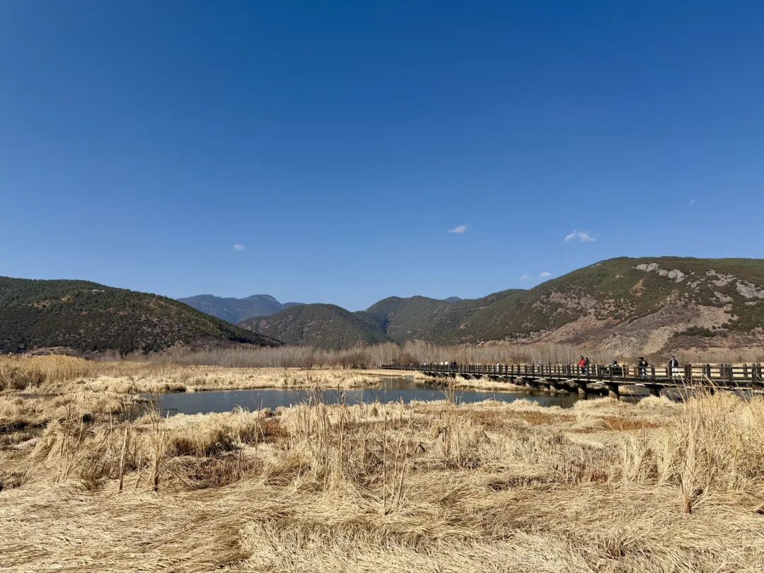 游记 | 泸沽湖·值得翻山越岭的美