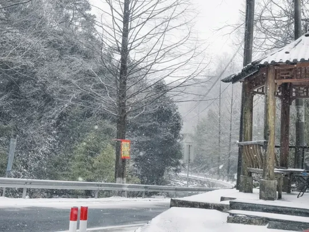 临安大鱼线|带娃追雪,半路就沦陷了❄️