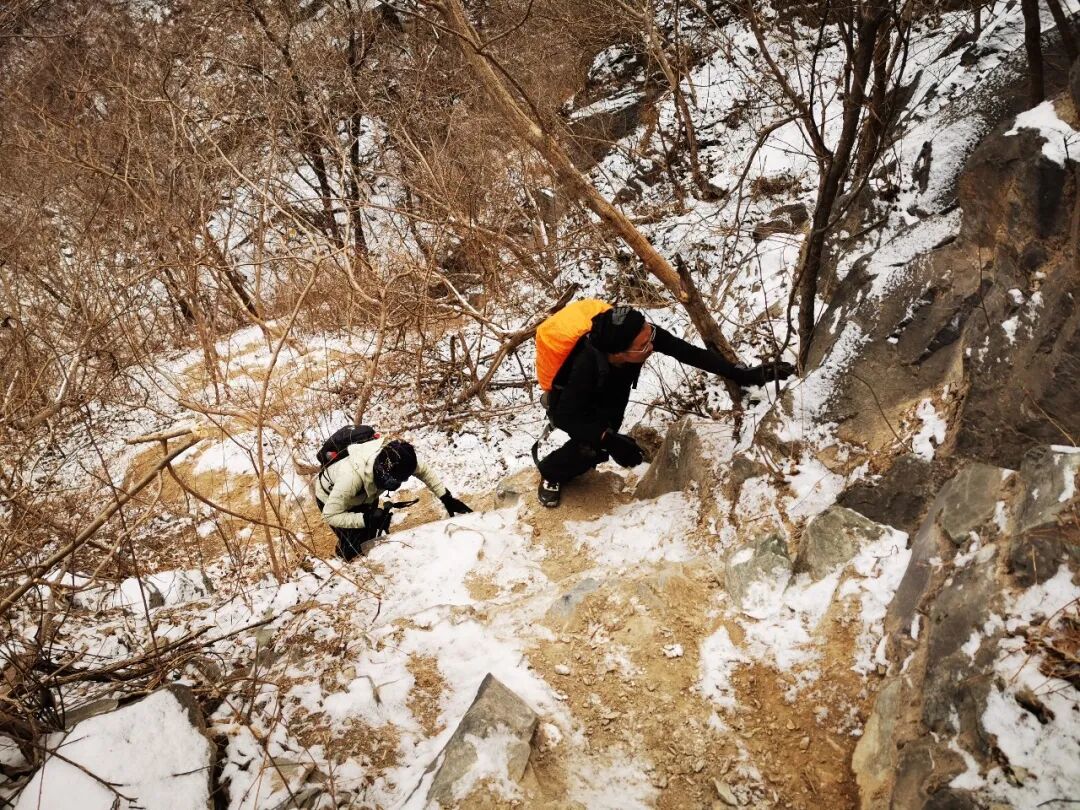 【攻略】香山“熊猫·小胖墩”路线