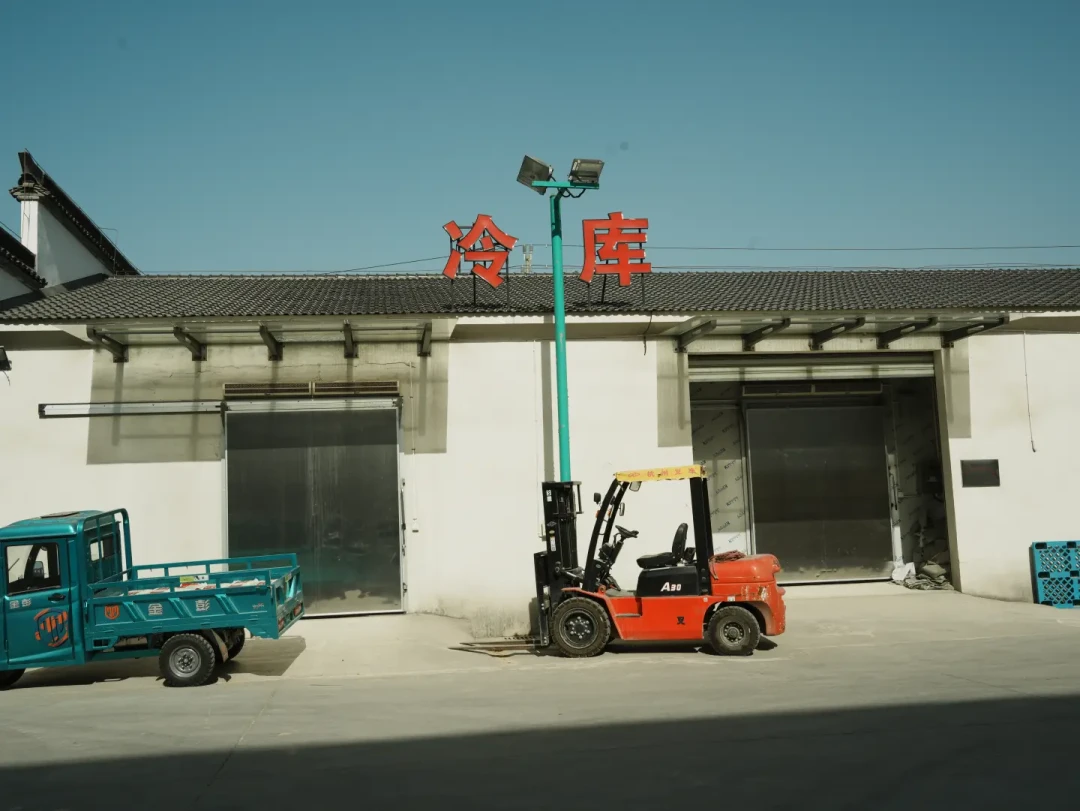 五年深耕沃土,桐乡“金牌大米”的诞生