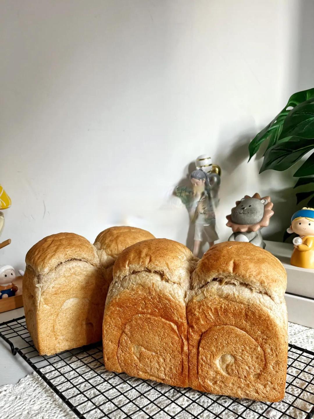 🌈营养健康的养生全麦吐司🍞