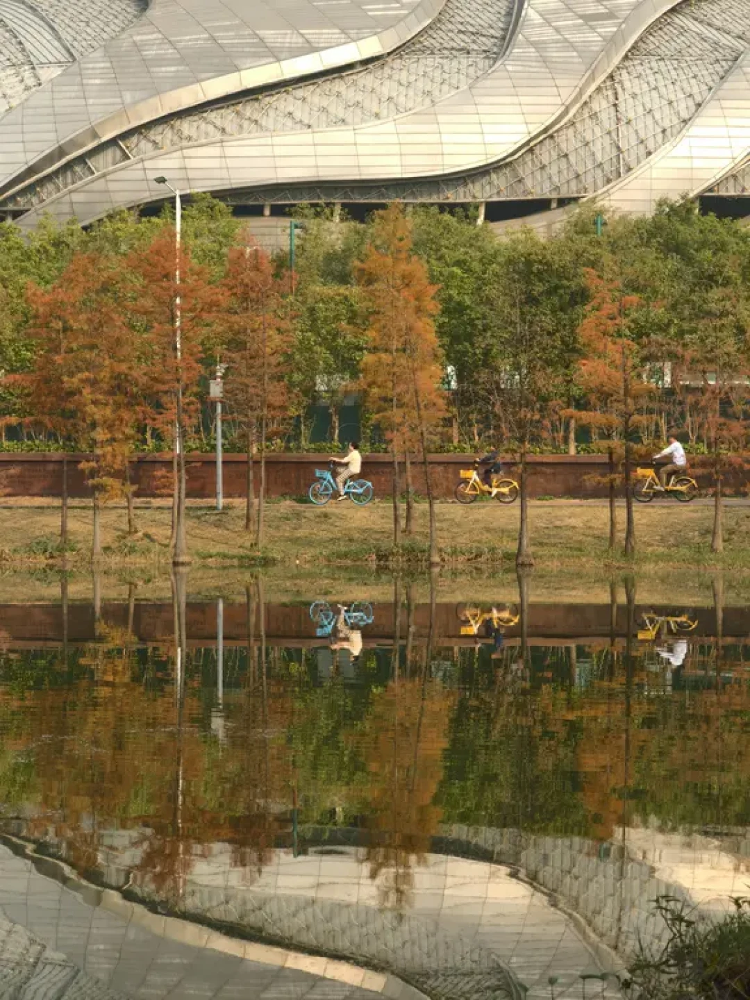 广州“双岛”骑行Ⅰ湖杉、绿道、江风与落日