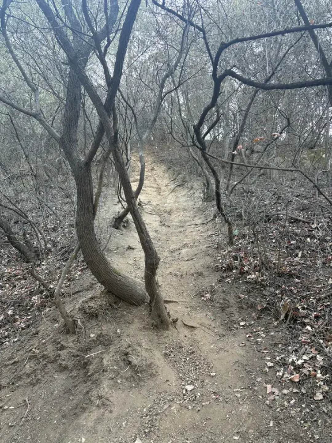 西安周边徒步|子午峪小环线🌲