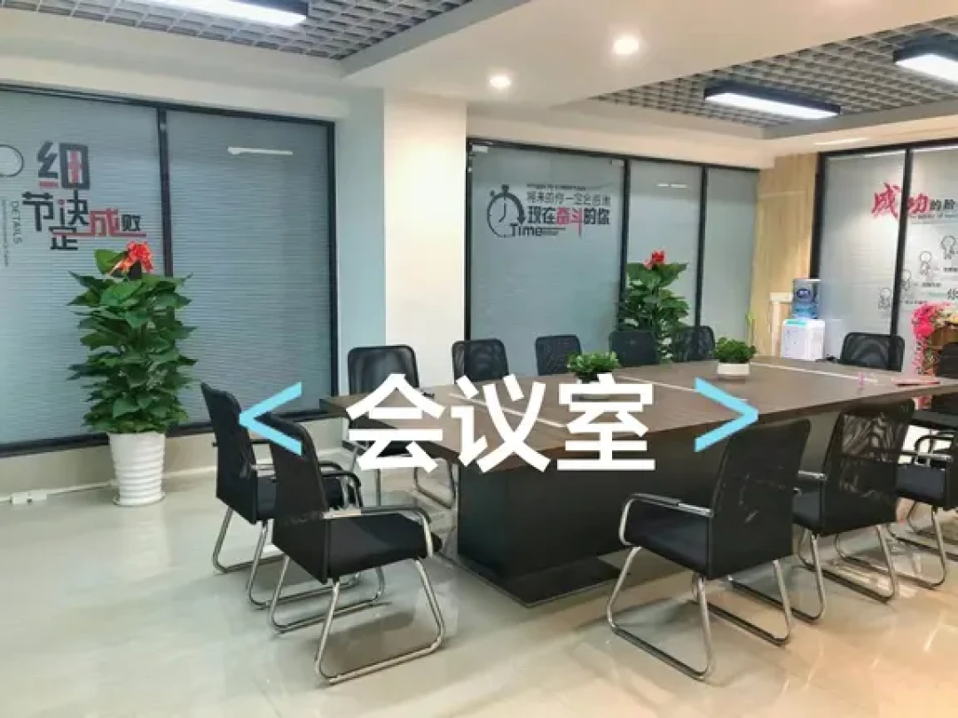 广州｜新装修办公室绿植搭配指南🌿