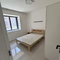 养了只猫马上退租了如何去猫尿味（已解决）