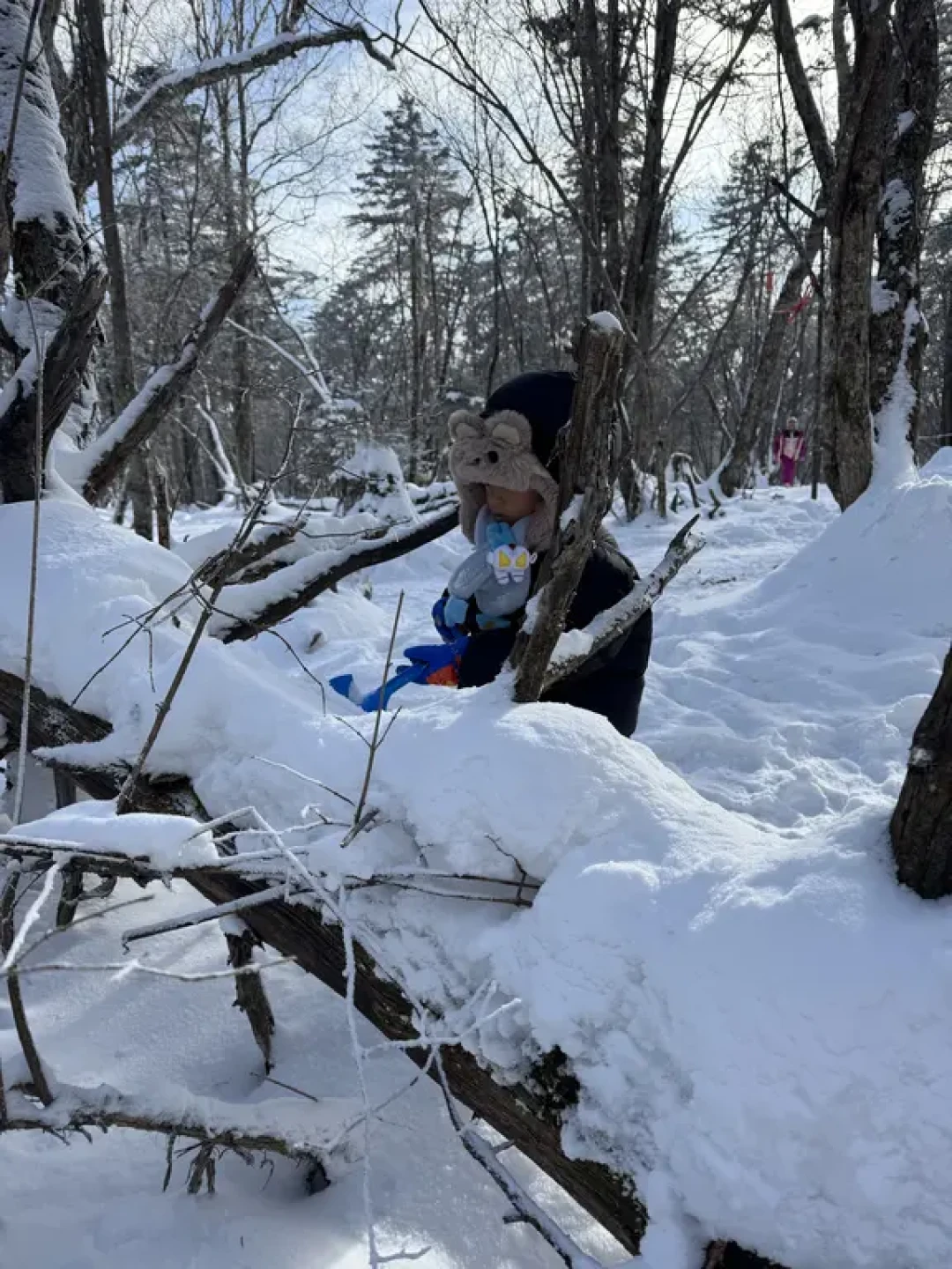 雪岭玩雪攻略❄️南方娃快乐到不想走