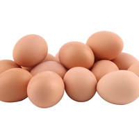 我承认的超级食物只有一种，那就是鸡蛋🥚