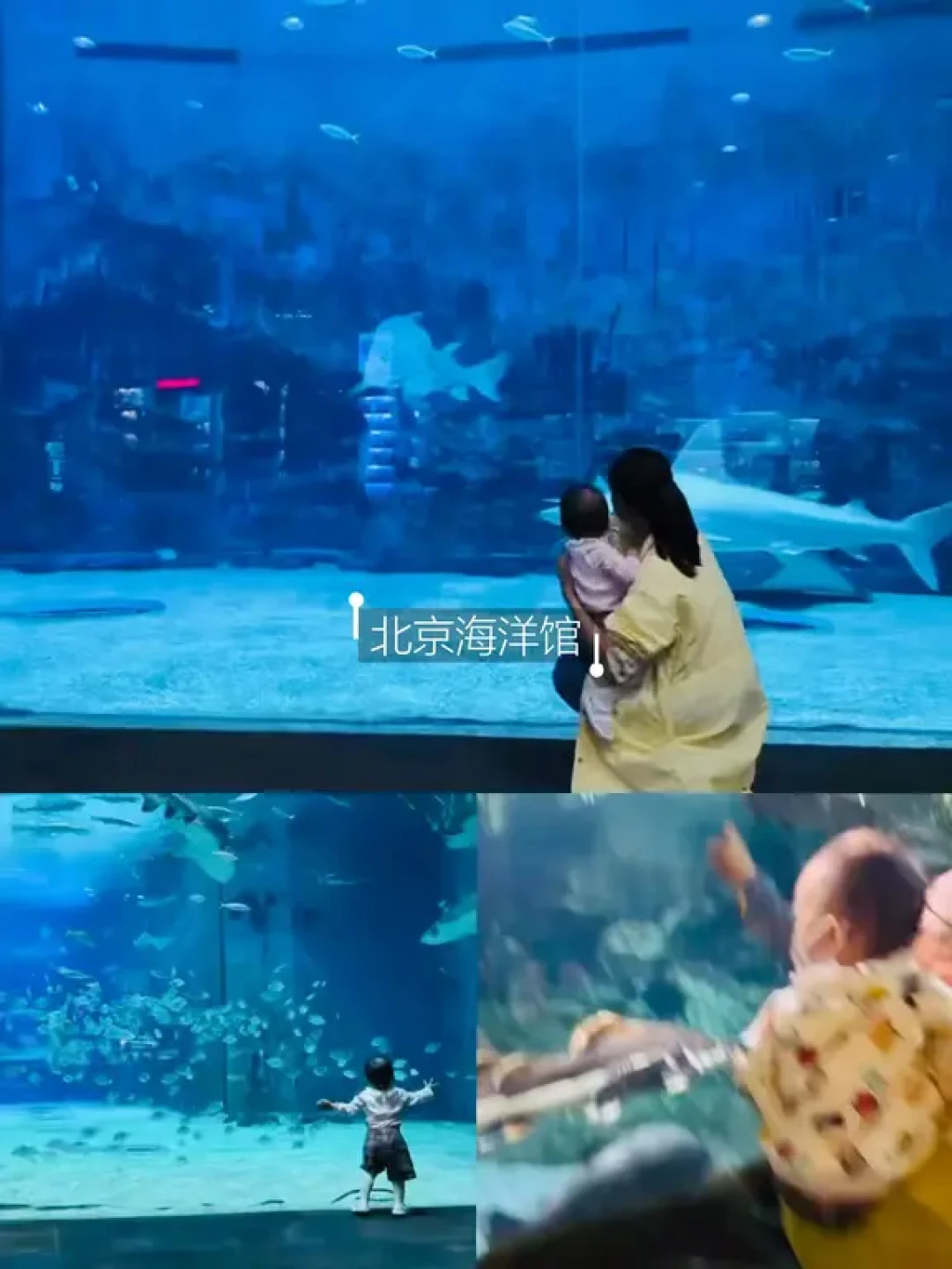 北京冬日遛娃,那些温暖如春的地方
