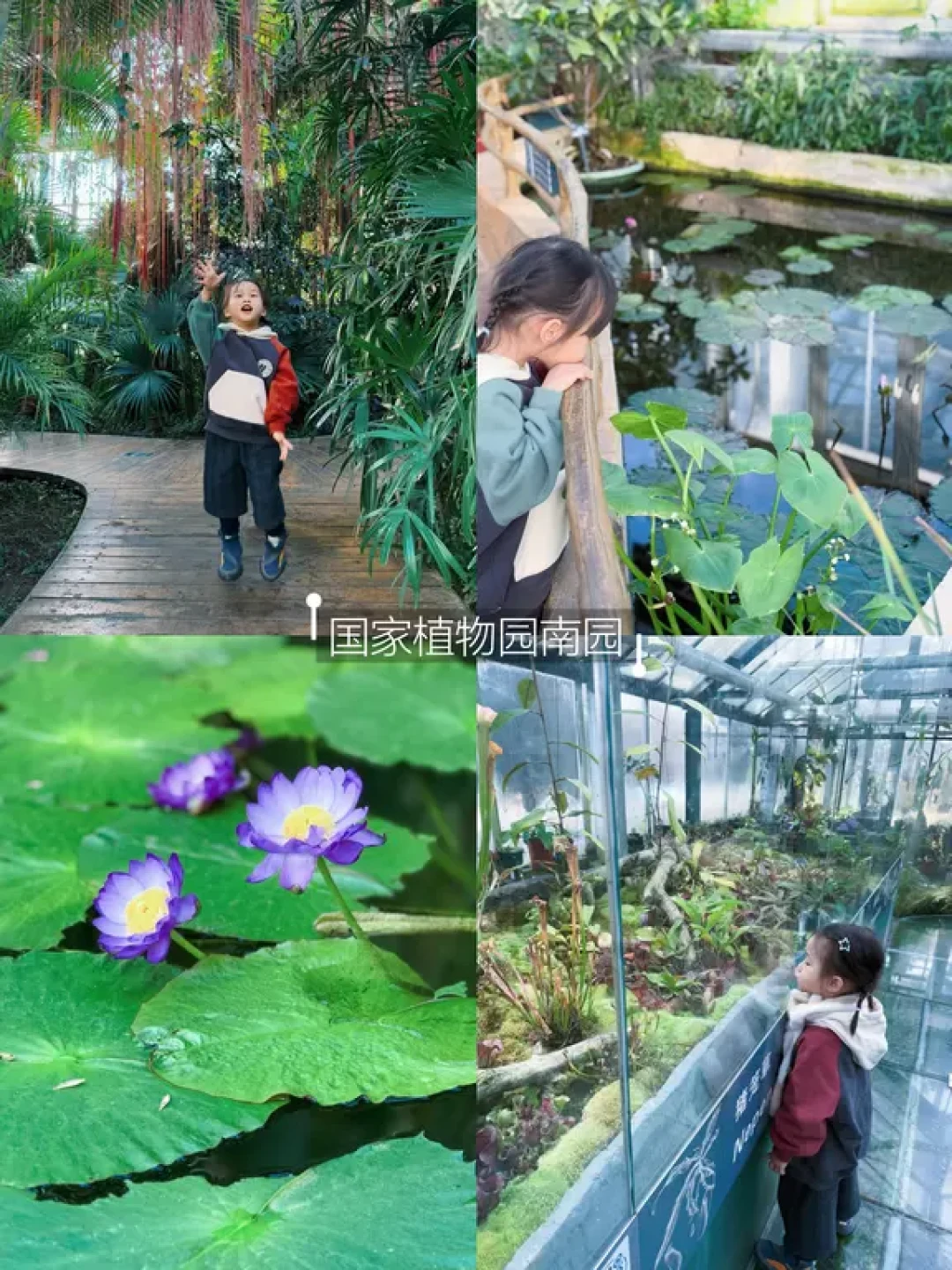 北京冬日遛娃,那些温暖如春的地方