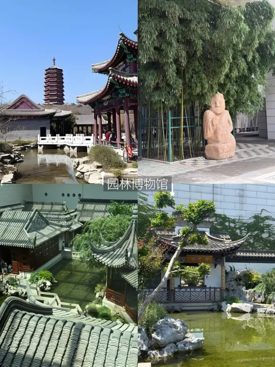 北京冬日遛娃,那些温暖如春的地方