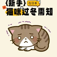 新手必看！猫咪过冬保暖全攻略🐱