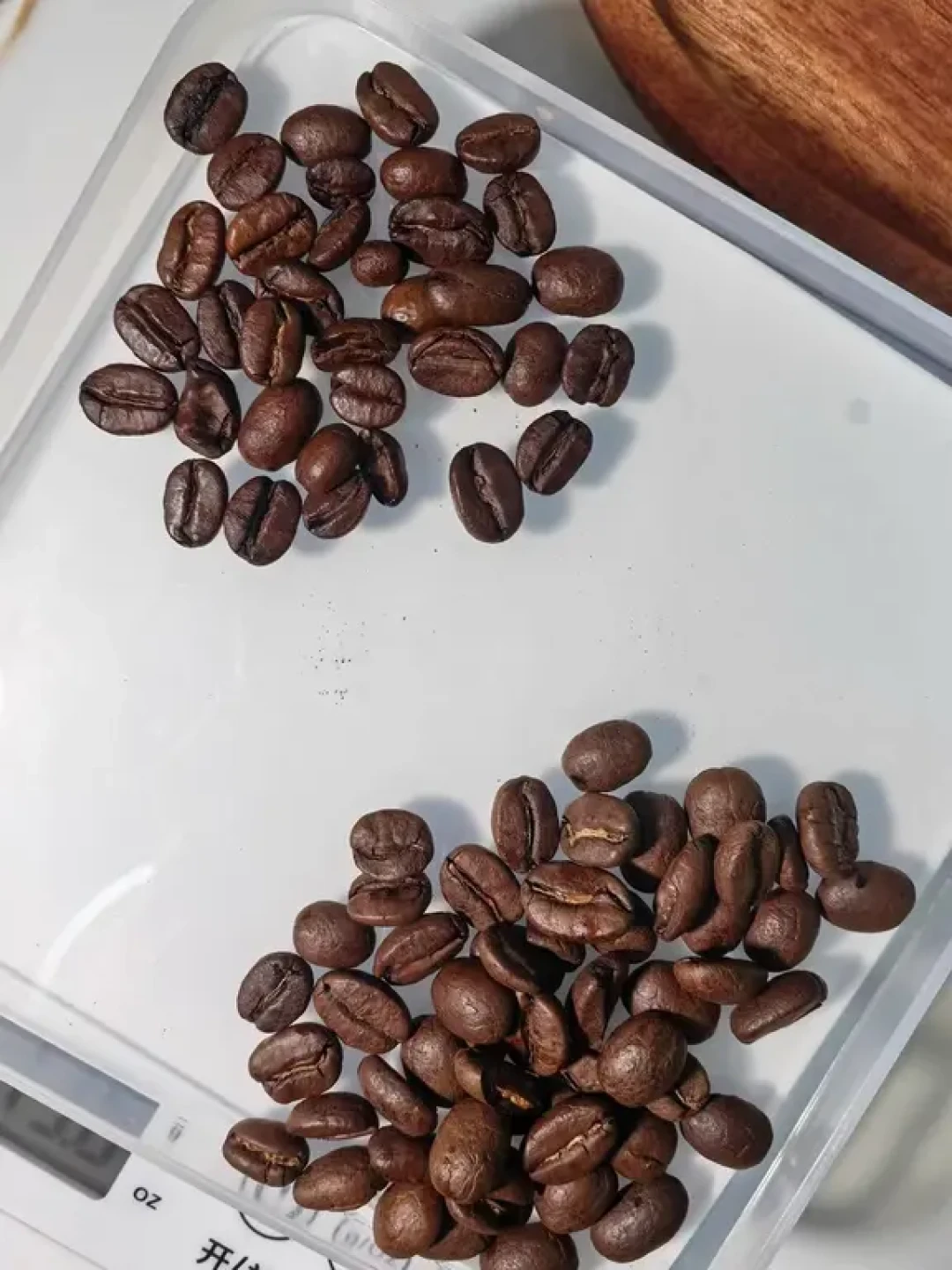 乔治队长黑猫拼配咖啡豆初体验