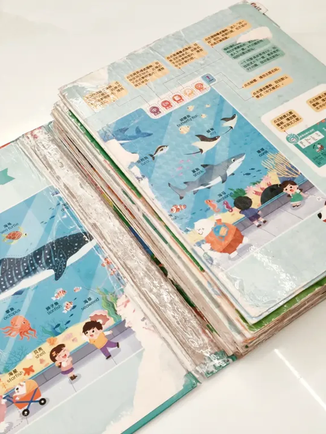 赠🎁｜小彼恩毛毛虫点读笔8个月使用情况